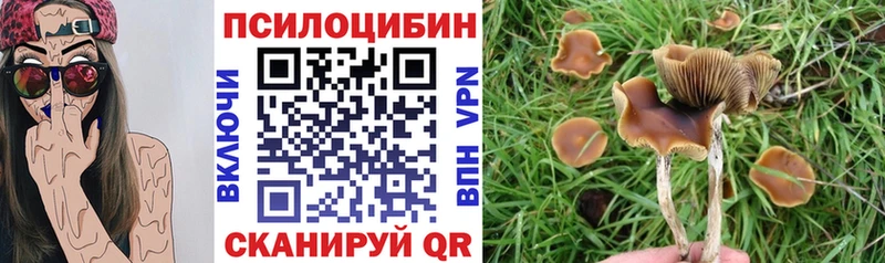 Псилоцибиновые грибы Psilocybine cubensis  Щёлкино 